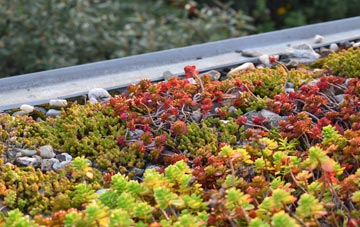 the cost of Lower Weald green roof installation