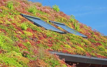 Lower Weald living roof systems